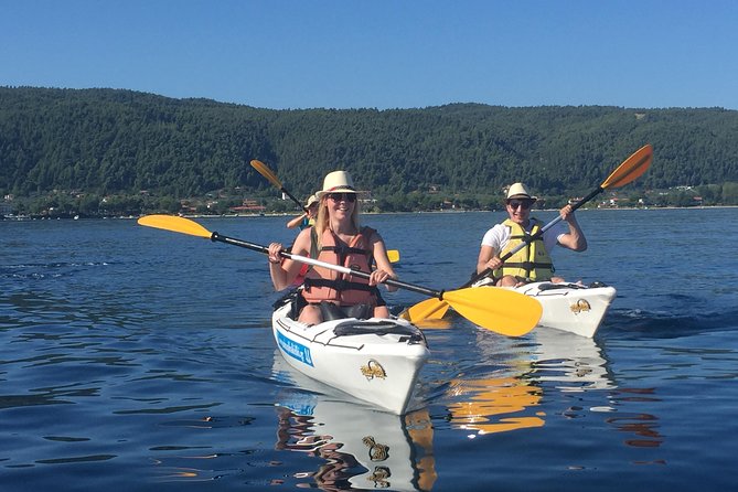 Half Day Kayak Trip - Small-group size: why it matters on the water