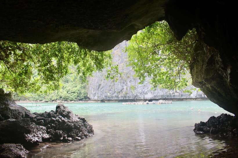 Half day Lan Ha Bay excursion ( 4 hours ): Kayaking, Snorkel - Snorkeling and swimming: what you’ll likely notice (and how to make it enjoyable)