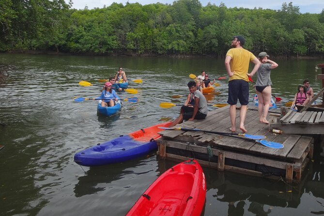Half day Mangrove by Kayaking or Longtail boat from Koh Lanta - Why Thung Yee Pheng Mangroves Feel Like a Different Koh Lanta