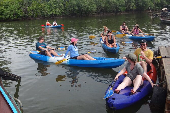 Half day Mangrove by Kayaking or Longtail boat from Koh Lanta - The Trip Flow: Mangrove Forest, Kayak/Lonngtail Time, Then Monkey Point