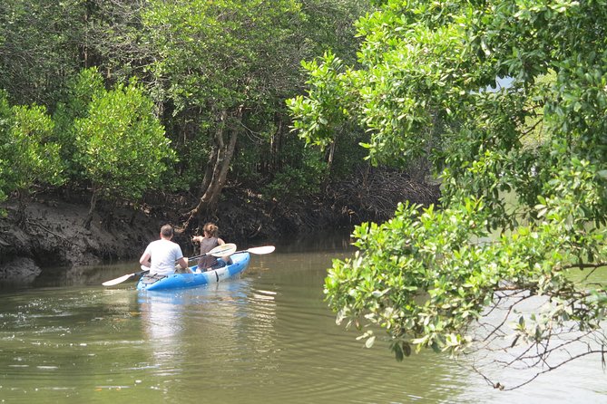 Half day Mangrove by Kayaking or Longtail boat from Koh Lanta - Kayaking vs Longtail: Pick What Matches Your Comfort Level