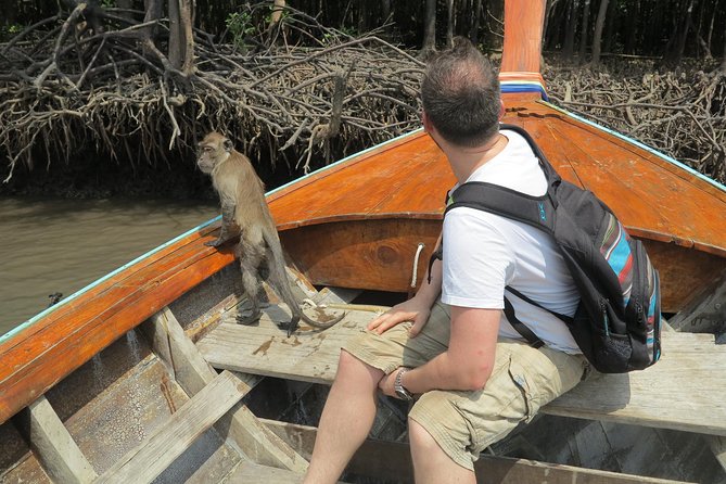 Half day Mangrove by Kayaking or Longtail boat from Koh Lanta - Monkey Feeding at Monkey Point: Fun, But Keep It Respectful