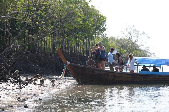 Half day Mangrove by Kayaking or Longtail boat from Koh Lanta - What to Bring: Heat, Humidity, and the Paddling Reality