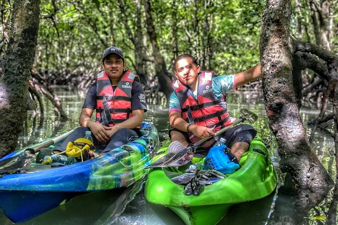 Half-Day Mangrove Kayaking in Langkawi - Getting to Kilim River Tourism Jetty and starting at 10:00