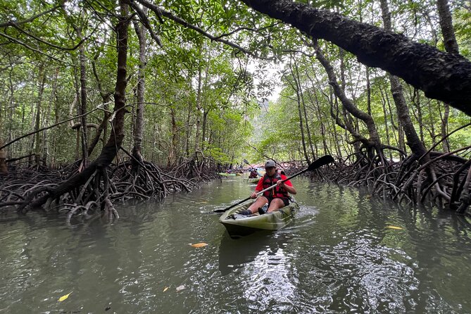 Half-Day Mangrove Kayaking in Langkawi - 11:00 kayaking: from the main river into the mangrove jungles