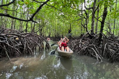 Half-Day Mangrove Kayaking in Langkawi - Life jackets, dry bags, and the 10:30 briefing on the base