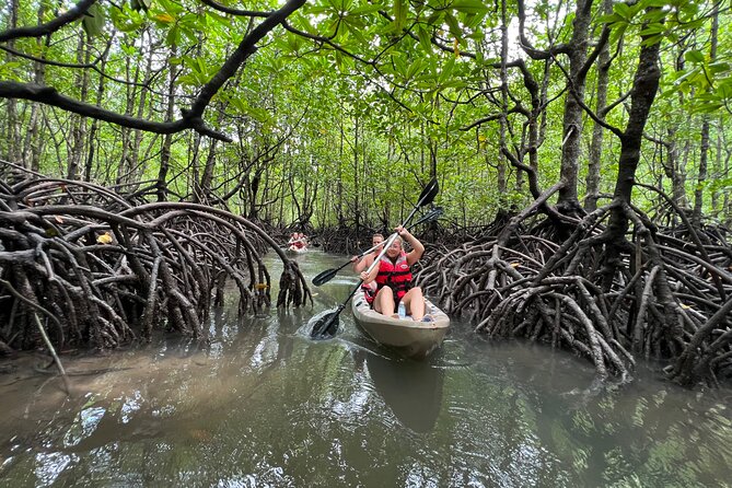 Half-Day Mangrove Kayaking in Langkawi - Life jackets, dry bags, and the 10:30 briefing on the base