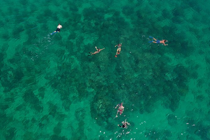 Half-Day Morning Trip from Key West with Kayaking and Snorkeling - Key Things That Make This Trip Work So Well