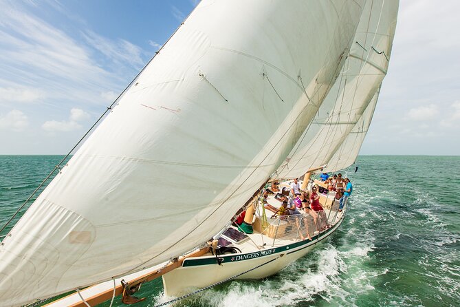 Half-Day Morning Trip from Key West with Kayaking and Snorkeling - What Happens Between Activities: A Comfortable Rhythm
