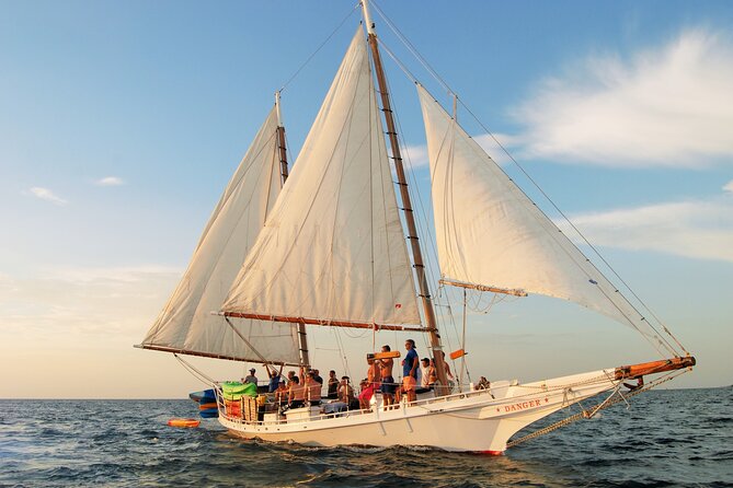Half-Day Morning Trip from Key West with Kayaking and Snorkeling - Snacks, Beer, and Wine: The Included Reward After You Paddle