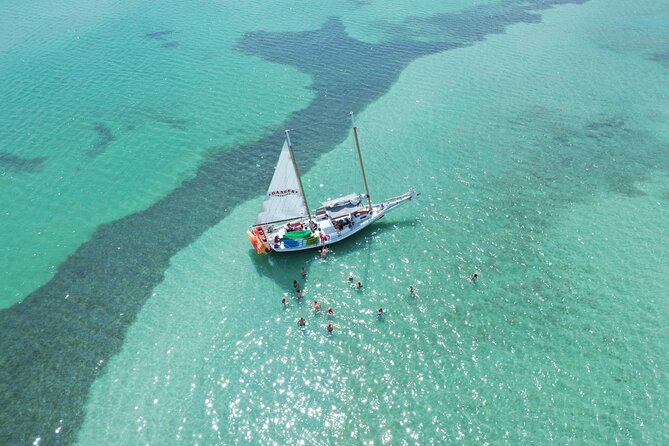 Half-Day Morning Trip from Key West with Kayaking and Snorkeling - Logistics You Should Know Before You Go