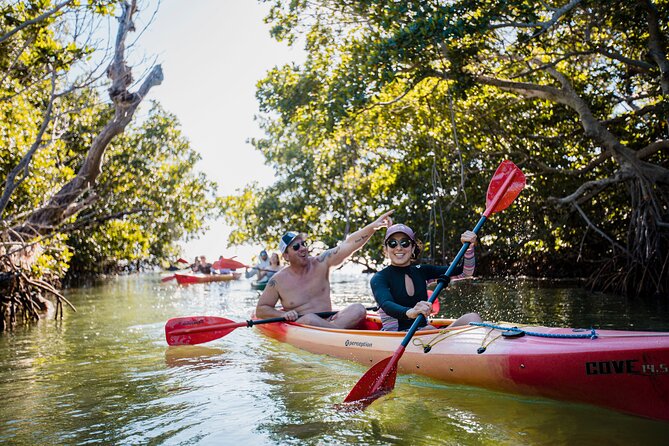 Half-Day Morning Trip from Key West with Kayaking and Snorkeling - Mangrove Kayaking: Friendly Coaching Plus Real Water Time
