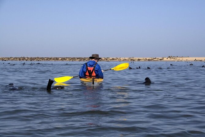 Half Day Original Seal Kayak Adventure, Pelican Point, Walvis Bay - The 40km 4x4 Ride From Walvis Bay to Pelican Point