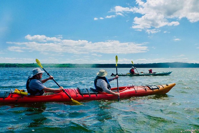 Half-Day Orleans Island Small-Group Sea Kayaking Tour - Why Île d’Orléans Looks So Good From a Kayak