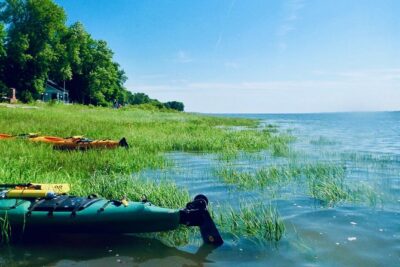 Half-Day Orleans Island Small-Group Sea Kayaking Tour - The 3-hour rhythm: coaching, practice, then cruising