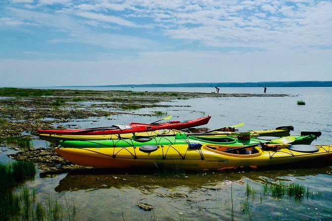 Half-Day Orleans Island Small-Group Sea Kayaking Tour - Safety on the water: small group, big attention