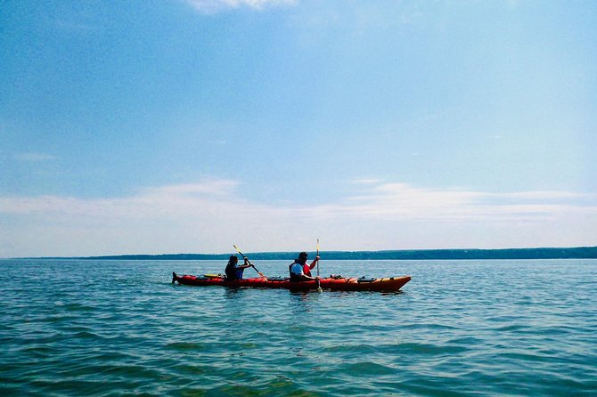 Half-Day Orleans Island Small-Group Sea Kayaking Tour - Price and value: what $59.20 buys you in real terms