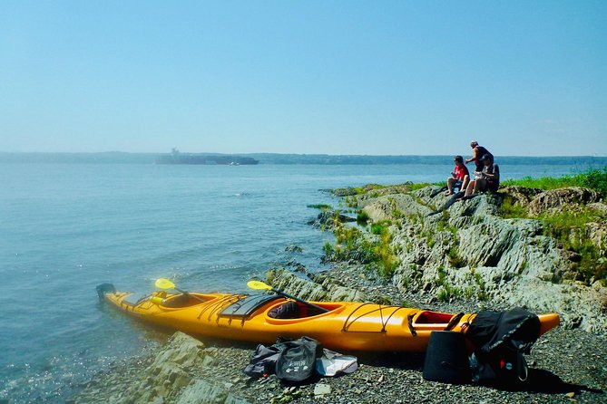 Half-Day Orleans Island Small-Group Sea Kayaking Tour - Timing tips: morning vs afternoon