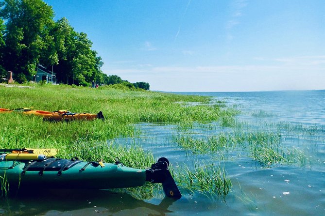 Half-Day Orleans Island Small-Group Sea Kayaking Tour - The 3-hour rhythm: coaching, practice, then cruising
