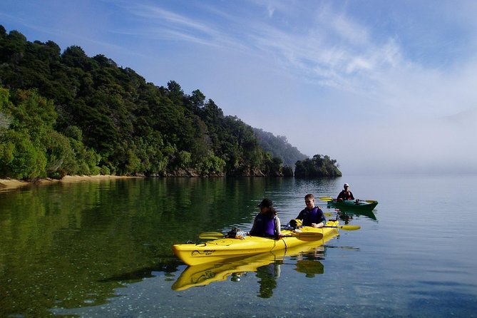 Half day Sea Kayak Guided Tour from Picton - Stop 2: Queen Charlotte Sound—coves, remote-feeling shoreline, and wildlife time