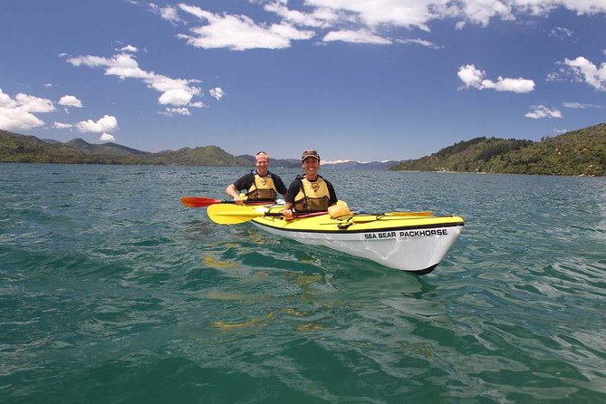 Half day Sea Kayak Guided Tour from Picton - What you’ll actually see: from eagle rays and jellyfish to penguins and seals