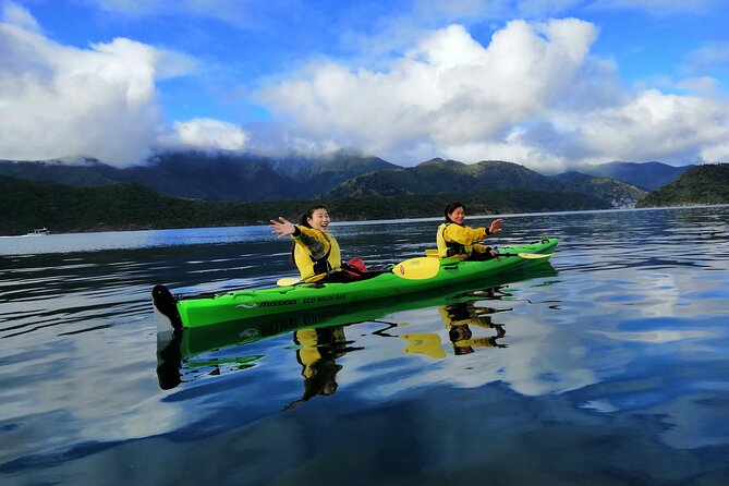 Half day Sea Kayak Guided Tour from Picton - Gear that helps: water jackets, dry storage, and what to expect when you get wet