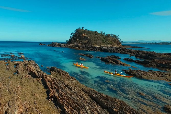 Half Day Sea Kayak Tour from Batemans Bay with Morning Tea - Key highlights you’ll actually care about
