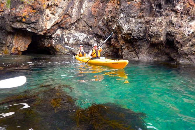 Half Day Sea Kayak Tour from Batemans Bay with Morning Tea - Optional swim, snorkel, and rock-jump time (when conditions allow)