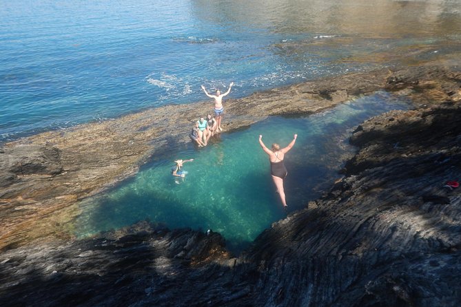 Half Day Sea Kayak Tour from Batemans Bay with Morning Tea - Who should book (and who might want to think twice)