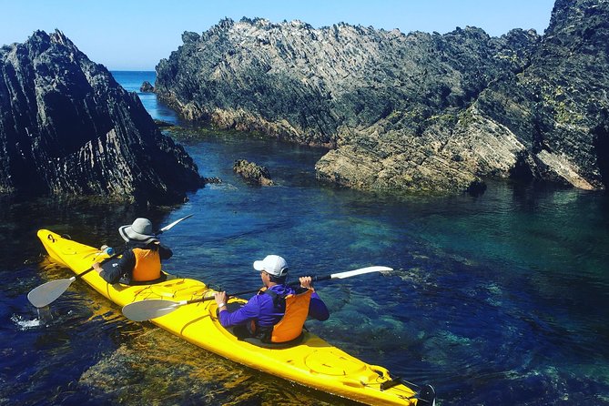 Half Day Sea Kayak Tour from Batemans Bay with Morning Tea - Double expedition-style kayaks and the coaching that makes it click