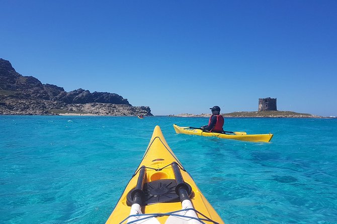Half Day Sea Kayak Trip - Key things I’d pay attention to