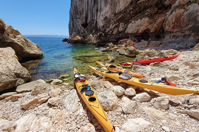 Half Day Sea Kayak Trip - Wind plans: Punta Negra and the alternate route logic
