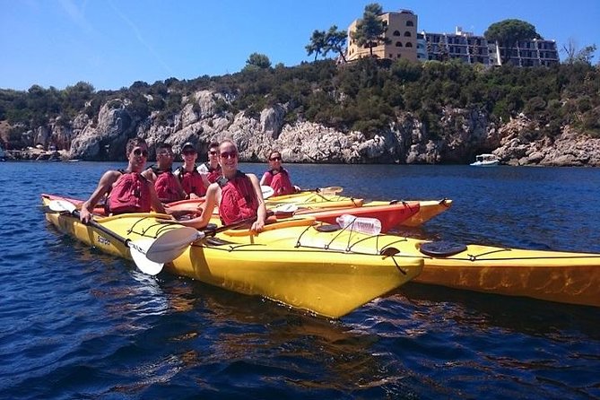 Half Day Sea Kayak Trip - The guide-led start: instruction that actually sets you up