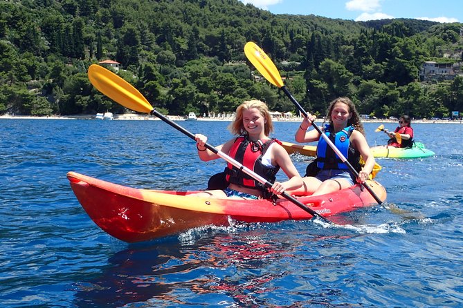 Half-Day Split Sea Kayak Adventure - Morning session vs afternoon sunset: picking the right vibe