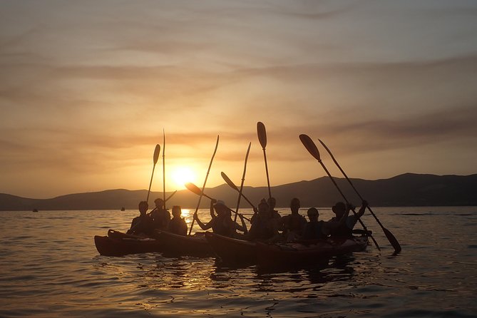 Half-Day Split Sea Kayak Adventure - Price and value: what you’re paying for at $59.95