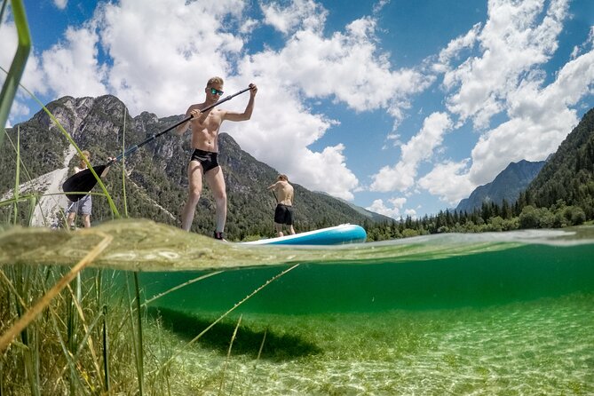 Half Day Stand-up Paddle Boarding (SUP) trip on Lake Predil - Pets and kids: a surprisingly workable setup