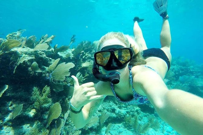 Half-Day Trip from Key West with Kayaking, Snorkeling & Sunset - Stop 2: the Key West harbor sail back and the sunset option