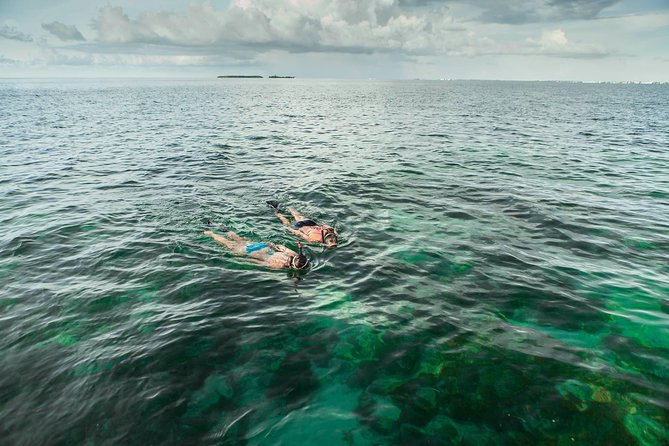 Half-Day Trip from Key West with Kayaking, Snorkeling & Sunset - Snorkel gear, wetsuits, and small comfort choices that add up