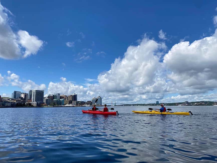 Halifax: Guided Kayak Tour with Multiple Options - Key highlights worth planning around