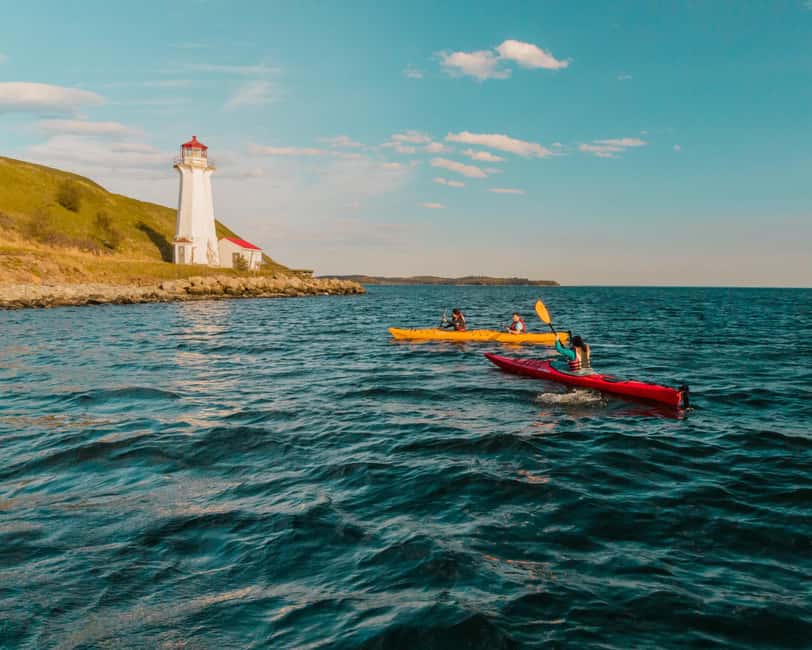 Halifax: Guided Kayak Tour with Multiple Options - Sliding out onto Halifax Harbour: what makes it feel manageable
