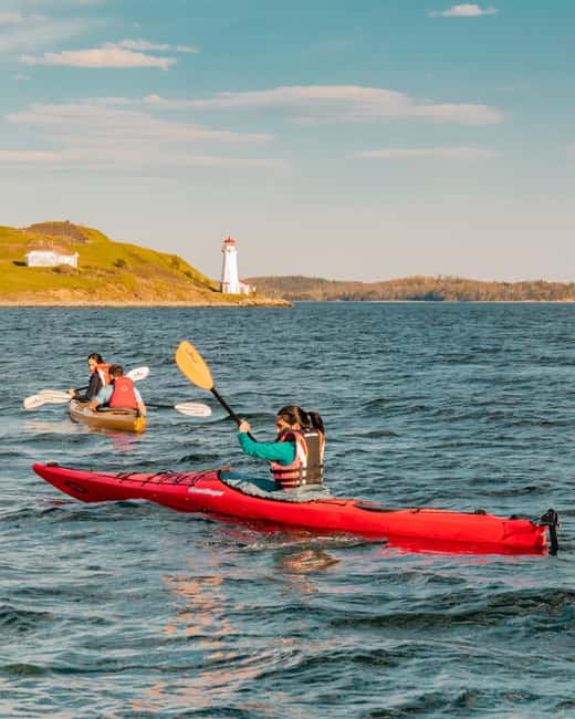 Halifax: Guided Kayak Tour with Multiple Options - Gear and prep: what to bring so your arms don’t suffer later