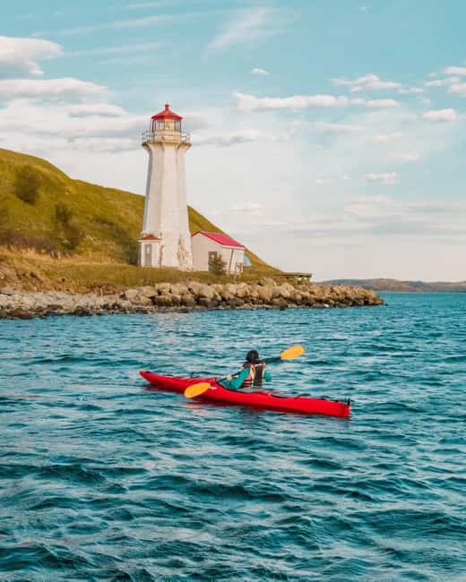 Halifax: Guided Kayak Tour with Multiple Options - Choosing your time on the water: Lunch, Classic, Early Bird, and Sunset