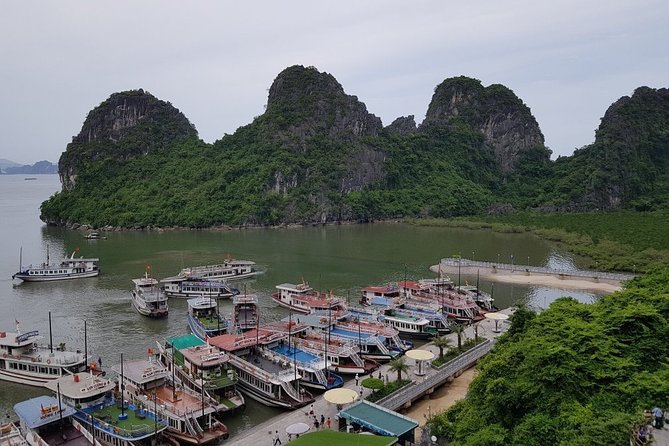 Halong Bay Cruise Tour from Hanoi with Kayak Adventure - Getting from Hanoi to Tuan Chau: pickup time, drive time, and what to expect