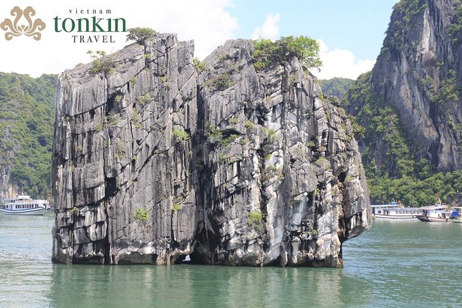 Halong bay deluxe cruise 2 days/ 1 night: kayaking, titop island, surprise cave - The Spring Roll Cooking Class: A Fun Break From Scenery