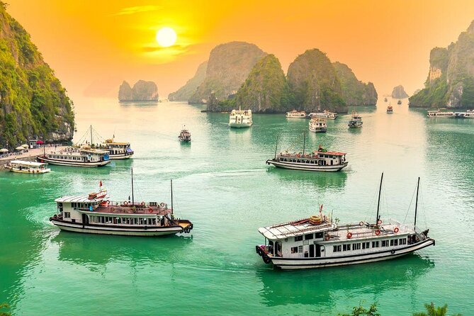 Halong Day Tour Islands, Caves, Kayak, Lunch w Dragonfly Cruise - Key points you’ll care about