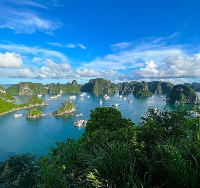 Halong Full Day Cruise: Kayak, Cave, Lunch, Beach & Island - Getting your bearings with crowds: what to do when boats pile up