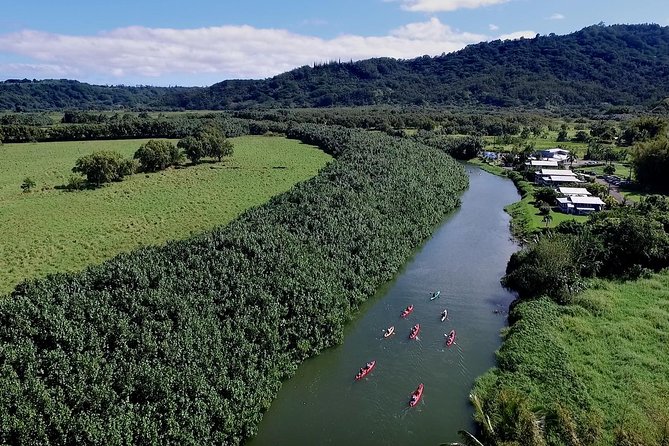 Hanalei Bay Morning Kayak and Snorkel Tour - Transition to Hanalei Bay and the wildlife hunt