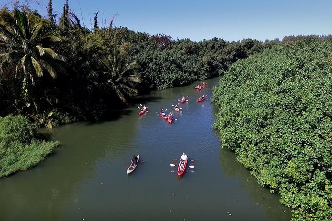 Hanalei Bay Morning Kayak and Snorkel Tour - Who should book this Kauai tour (and who might choose differently)