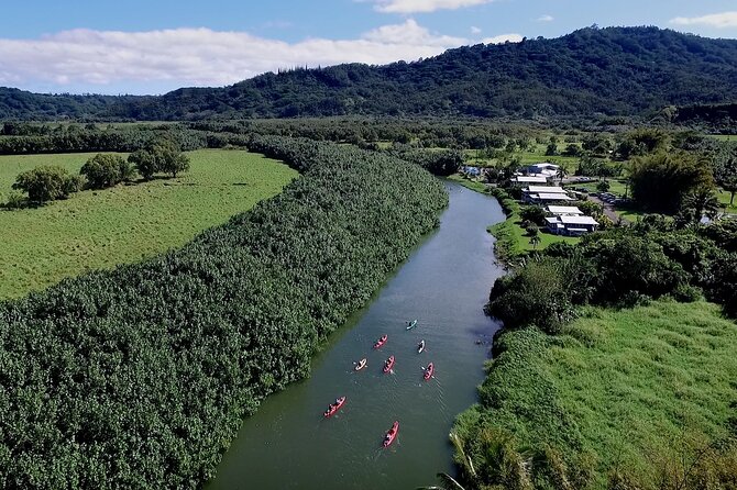 Hanalei Bay PM Kayak & Snorkel in Kauai - Key things that make this tour worth your afternoon
