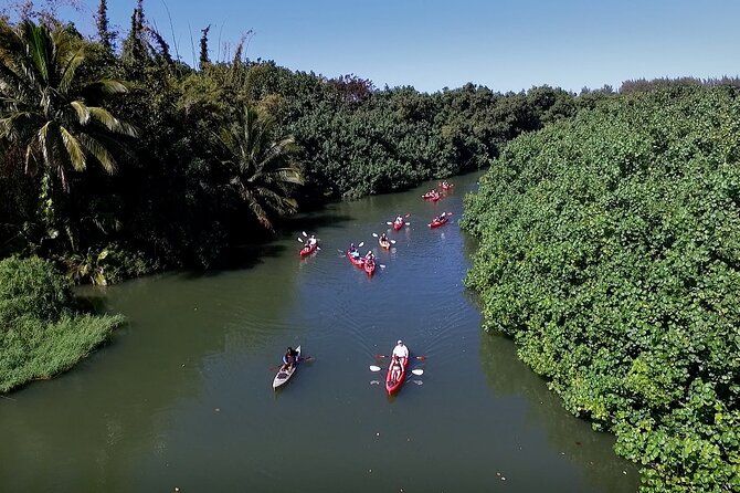 Hanalei Bay PM Kayak & Snorkel in Kauai - Who should book (and who should think twice)